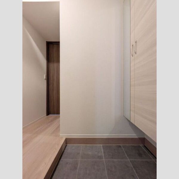 セレスティア南篠崎町102号室 玄関