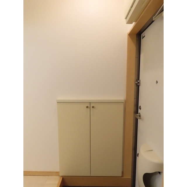 アネシス102号室 靴箱