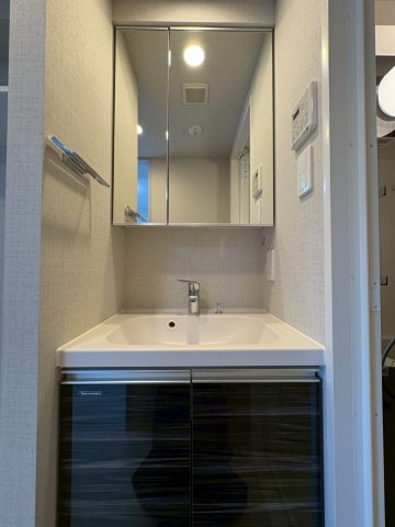 DIPS四ツ木207号室 洗面