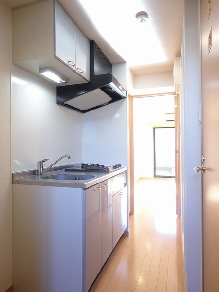 ルーブル小竹向原弐番館304号室 その他