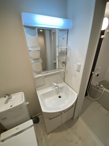 ベイルーム藤棚205号室 洗面