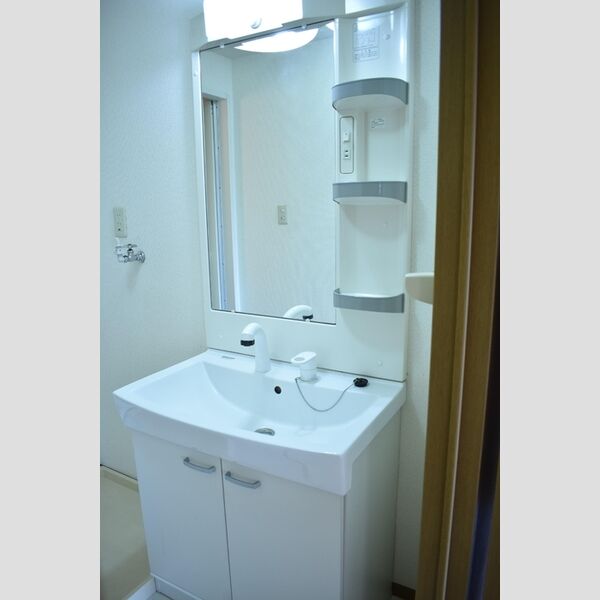 エントピアマルオカ202号室 洗髪洗面化粧台