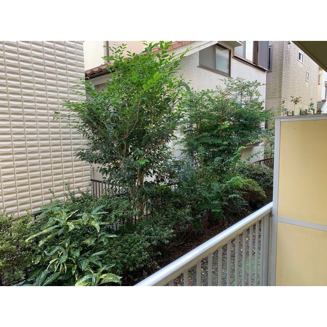 ホワイトバレー106号室 内観