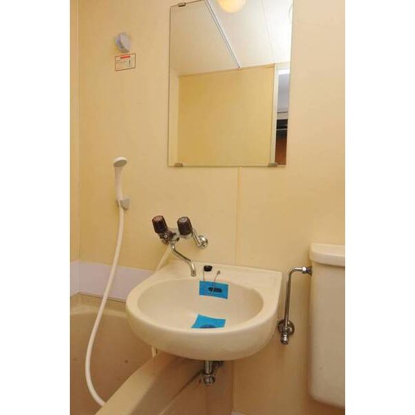 メゾン・ド・ラビヤル0109号室 洗面