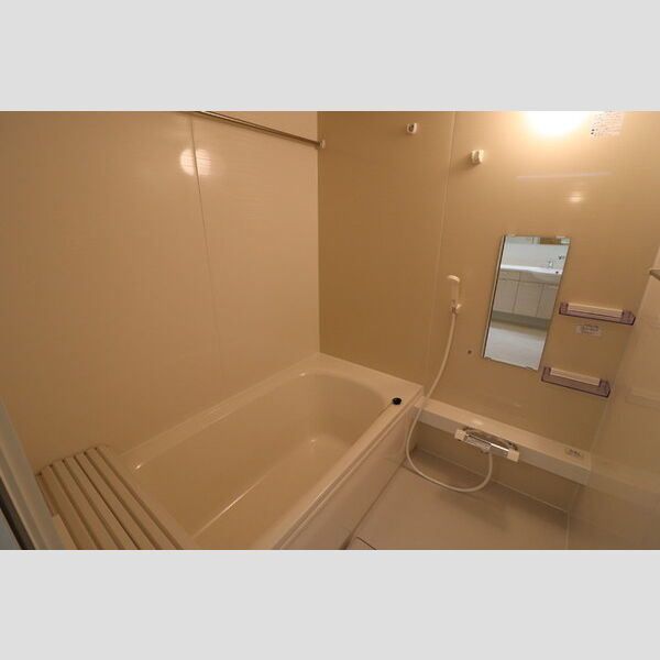 エバープレイス武蔵浦和101号室 浴室