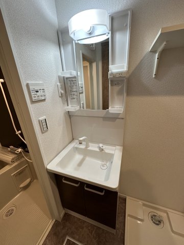 Bay Room vida103号室 洗面