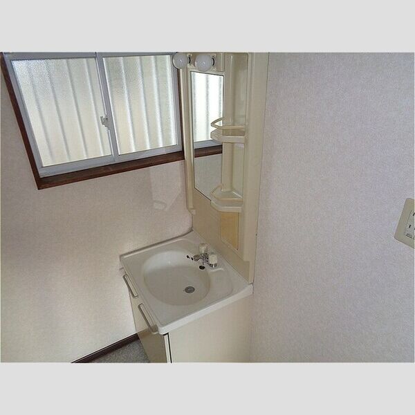 サウスコーポB202号室 洗面台