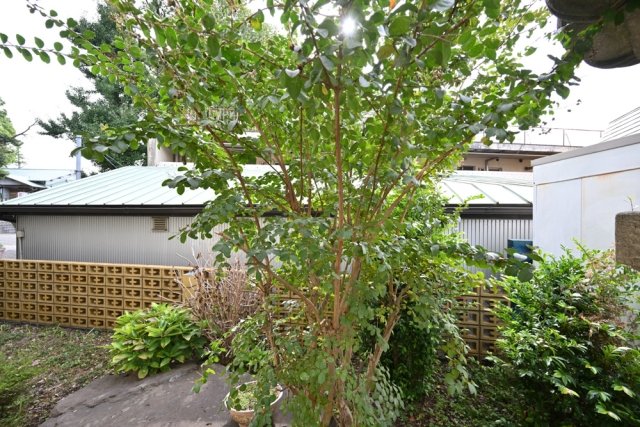 ビインヒルズ1階 展望