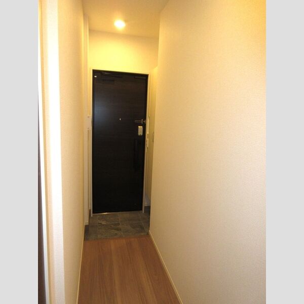 エクセリア徳丸Ⅰ103号室 玄関