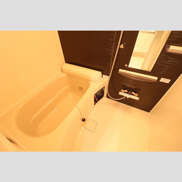 エーデル カーサ203号室 お風呂