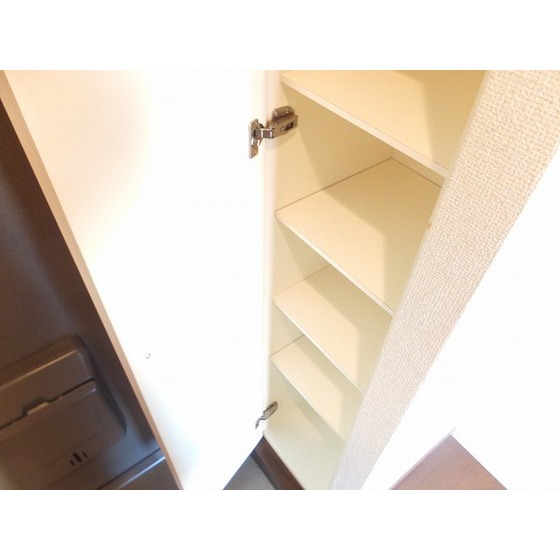 ＣＲＥＳＣＥＮＴ　ＭＯＴＯＮＥＳ シューズボックス