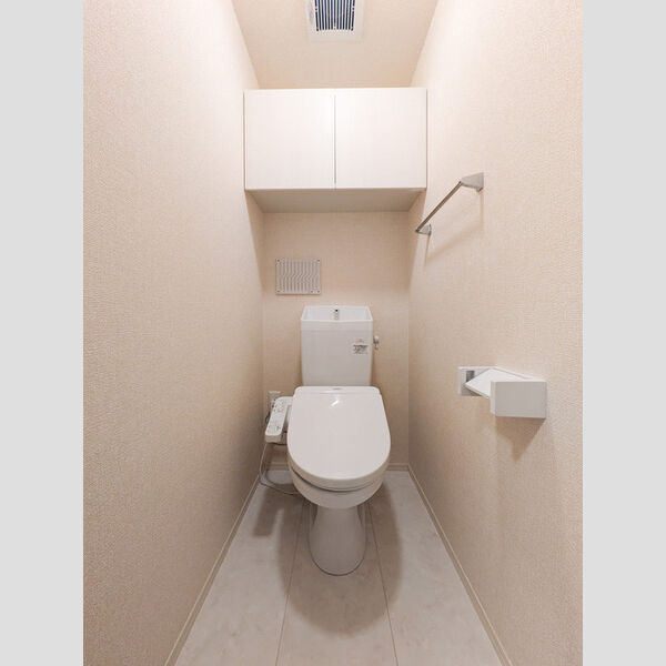 コリーヌヴェール上小303号室 トイレ