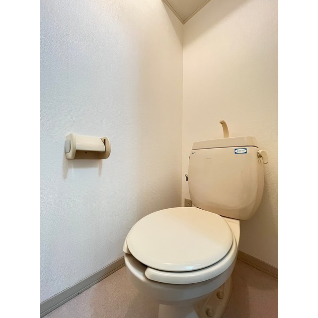 ハイツディアス102号室 トイレ