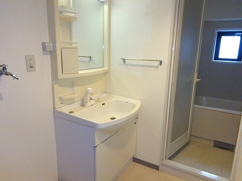 リヴィエルバーグ西大島 洗面所　同タイプ別部屋2018年6月撮影