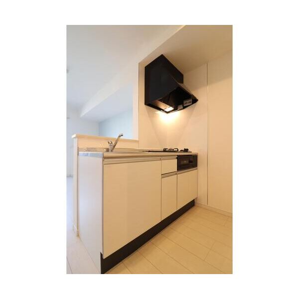 ミリアビタ大森台101号室 キッチン