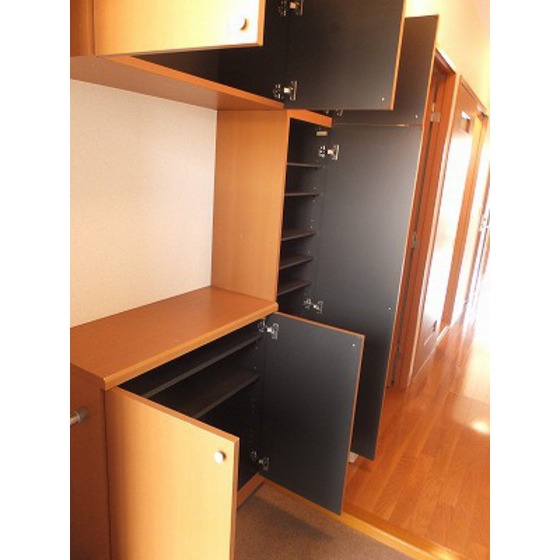 エコタワーバオバブ シューズボックス