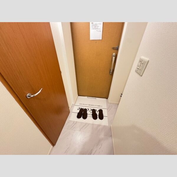 カスタリア銀座Ⅲ 玄関