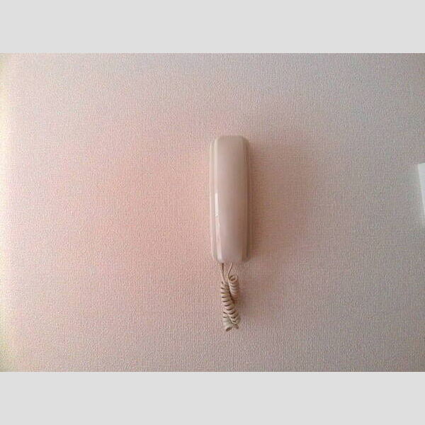 フローラM　Ⅰ インターホン