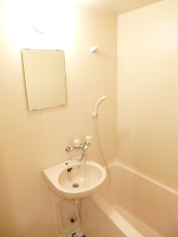 スカイコート神楽坂402号室 洗面