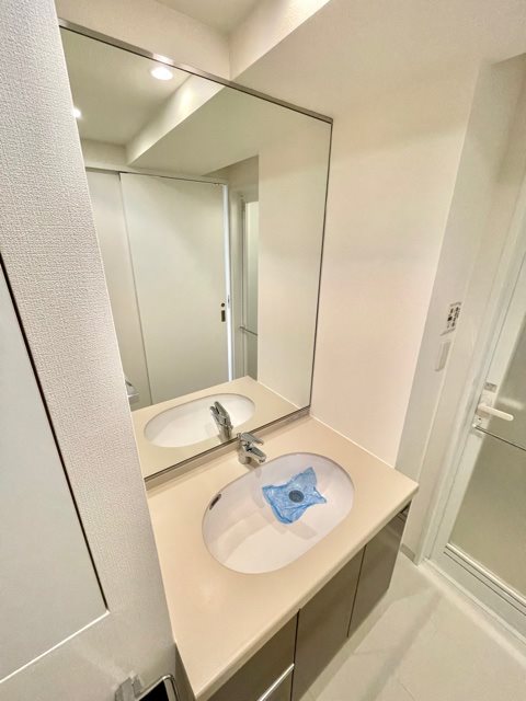 レジディア中落合B棟2階 洗面