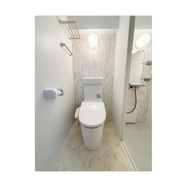 スミノ藤沢407号室 トイレ