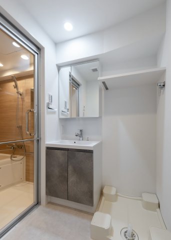 SYFORME SHIROKANE-TAKANAWA303号室 洗面