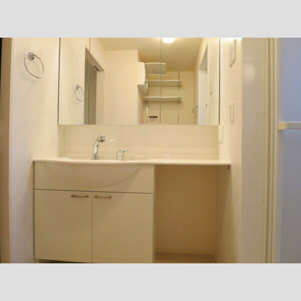 グリーンテリアGⅠ203号室 洗面所　洗髪洗面化粧台あり