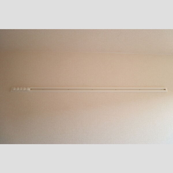 Klein Kirsche (クラインキルシェ)305号室 ハングバー