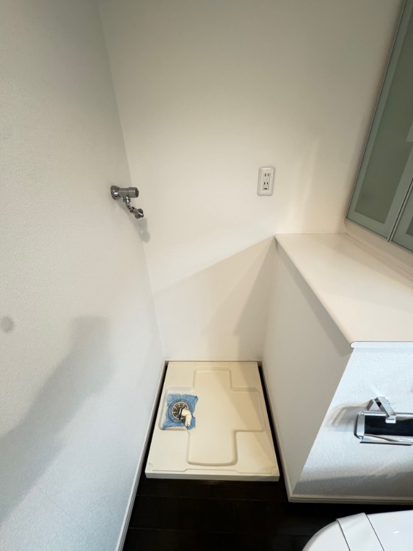 レジディア恵比寿南4階 洗濯機置場