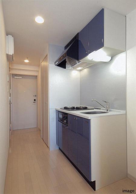 グランド・ガーラ新宿 システムキッチン