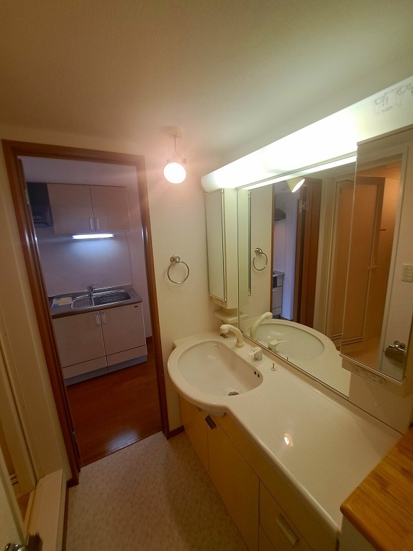 メゾン・ヴェルデ 洗面