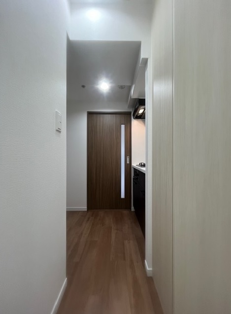 グランド・ガーラ麻布十番11階 玄関