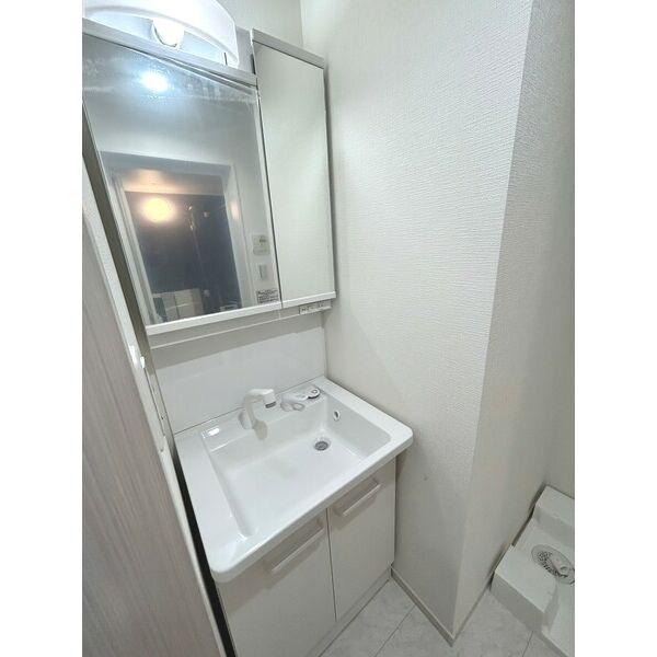 Ambition袋山205号室 洗面