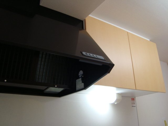 エクセレント南柏105号室 キッチン収納