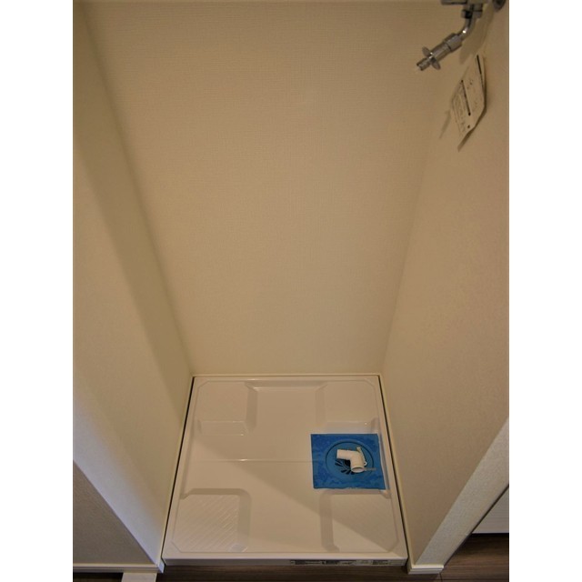 ルクレ西新宿1001号室 室内洗濯機置場