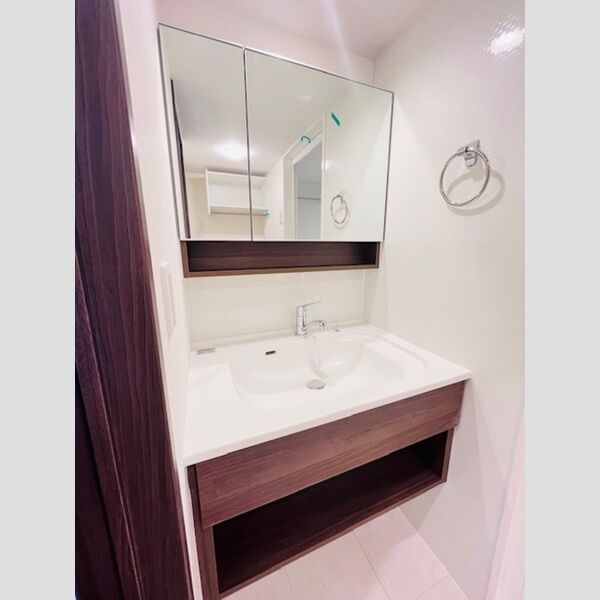 D'Bless湘南辻堂202号室 洗髪洗面化粧台