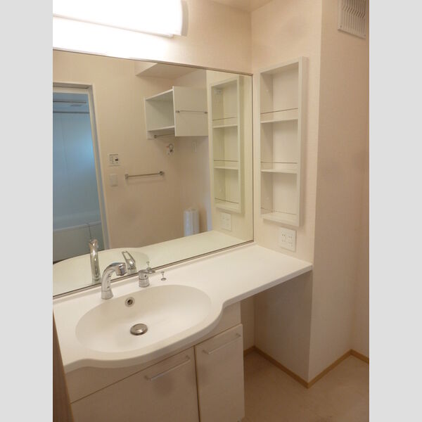 シャインアイリス　Ⅱ201号室 洗髪洗面化粧台