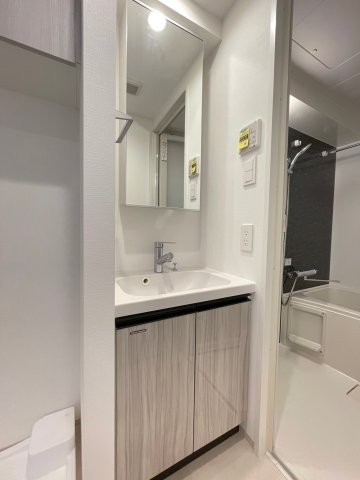 DIPS野方RESIDENCE503号室 洗面