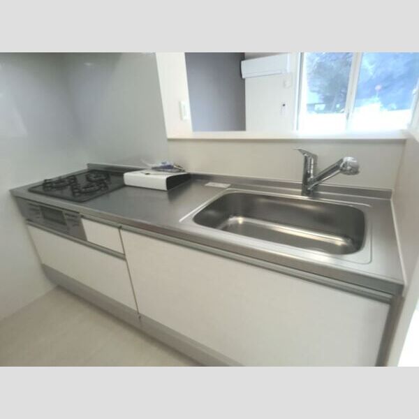 ロイジェントパークス レイクタウン Ⅱ　A108号室 キッチン