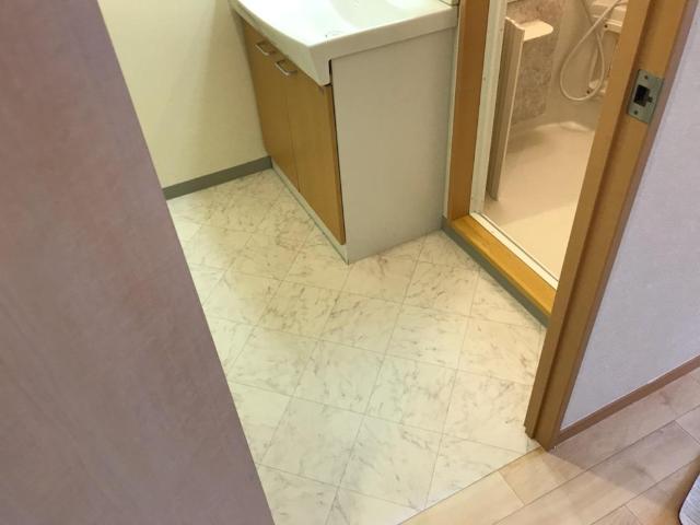 ポラリス壱番館203号室 脱衣所（イメージ）