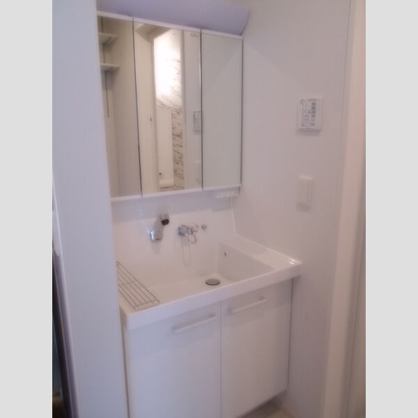 ルミニョンセパル　AA101号室 洗髪洗面化粧台