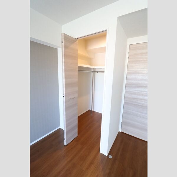 グレースクレスト八潮603号室 ウォークインクローゼット