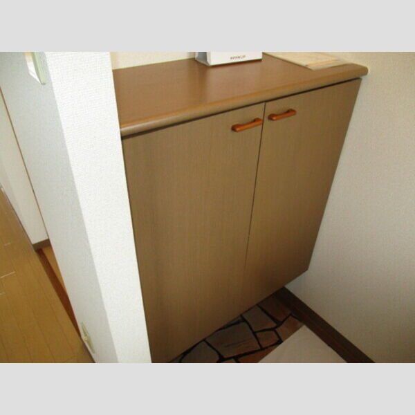 グランシャリオ シューズボックス