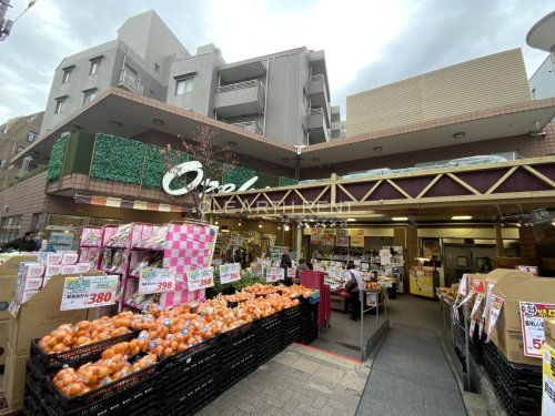 菱和パレス田園調布東 【スーパー】オオゼキ 雪が谷店まで202ｍ
