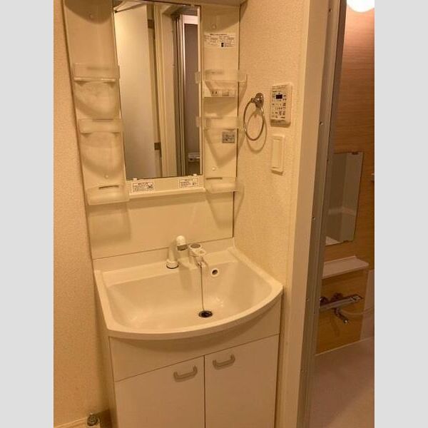 S-FORT川崎神明町301号室 洗面