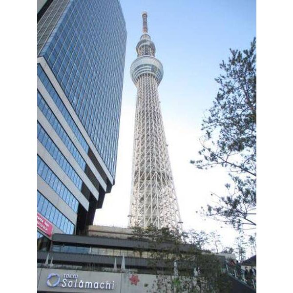 メゾン・ド・マルグリット 周辺