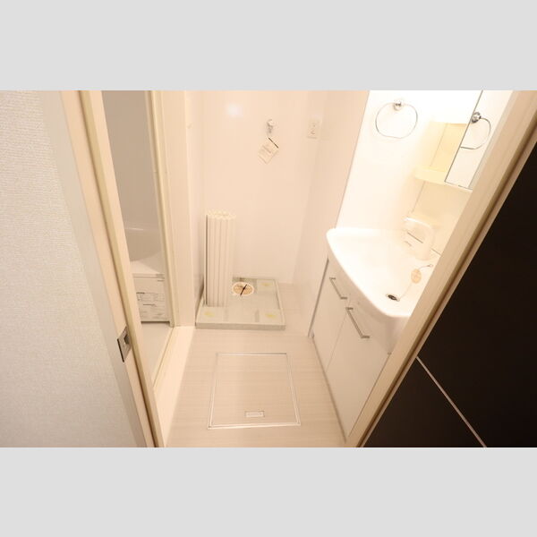 クオリタ・リリ305号室 洗面所