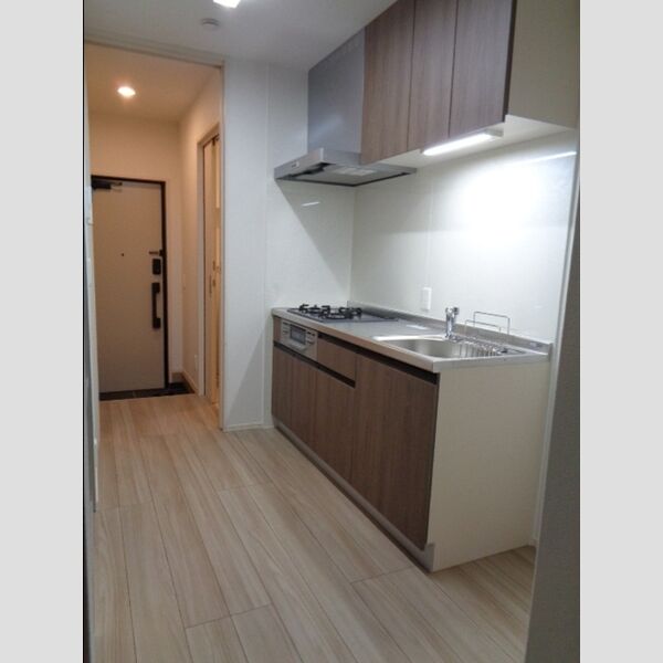 エスペランサ蒲田102号室 102号室　キッチン