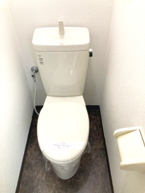 中佐津間ハイツ101号室 トイレ