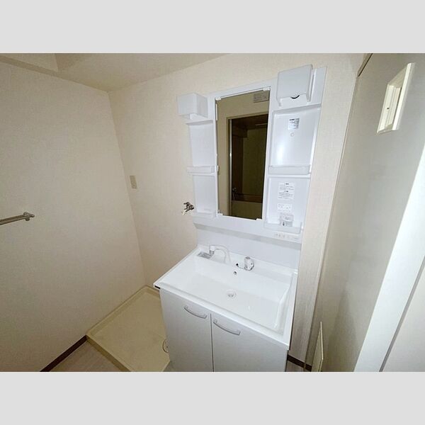 エクセルハイム海宝202号室 洗髪洗面化粧台